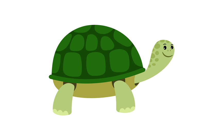 green-cute-turtle-cartoon-icon