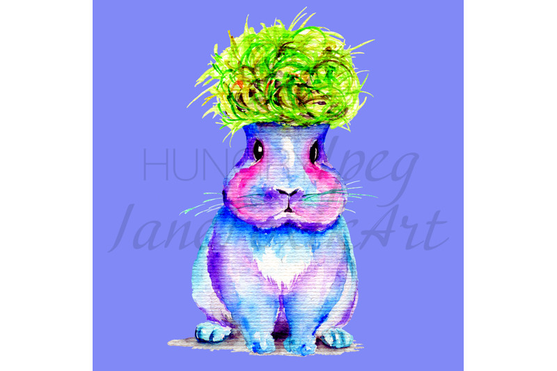funny-bunny-character-watercolor-painting-isolated-in-png-and-jpg