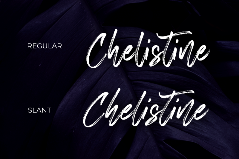 chelistine-handbrush-script
