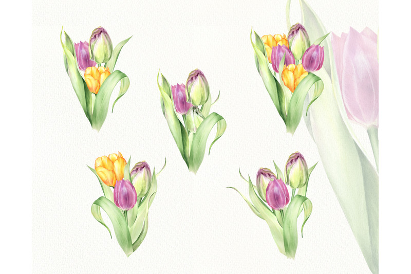 watercolor-tulips-bouquets-png-clipart-spring-flowers-arrangements-c