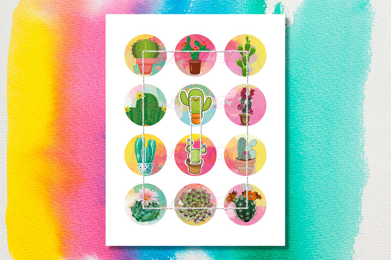 cactus-succulents-digital-collage-sheet-cactus-printable-cactus-caboch