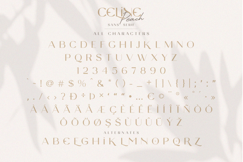 Celine Peach A Luxury Font Duo By Craft Supply Co Thehungryjpeg Com