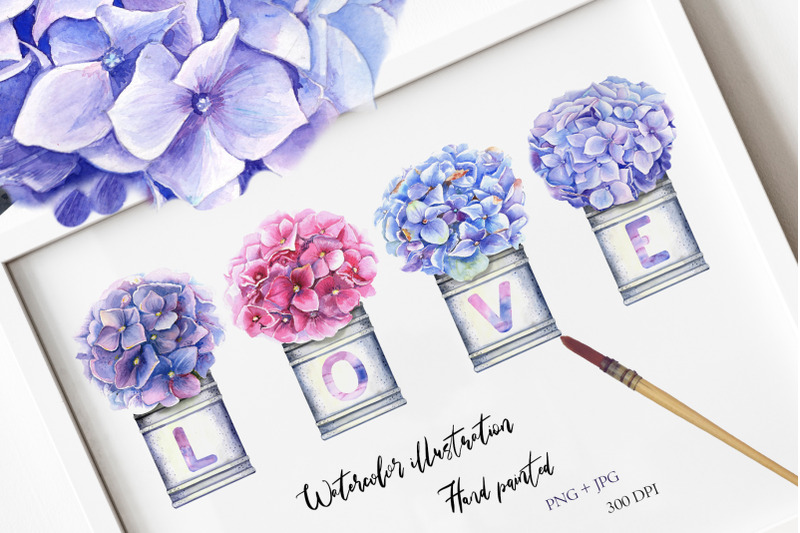 watercolor-hydrangea-illustration-iii