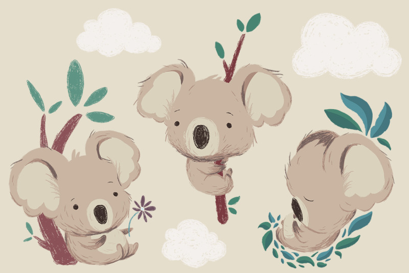 cute-koala