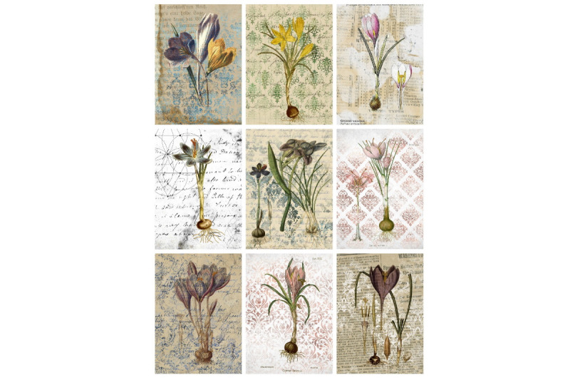 9-vintage-botanical-crocus-ephemera-collage