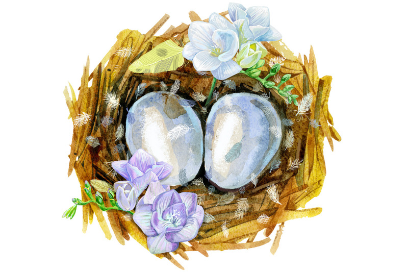 watercolor-art-bird-nest-with-eggs-and-flowers