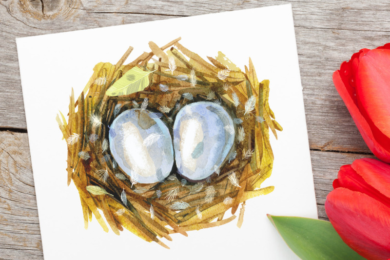watercolor-art-bird-nest-with-eggs-and-flowers
