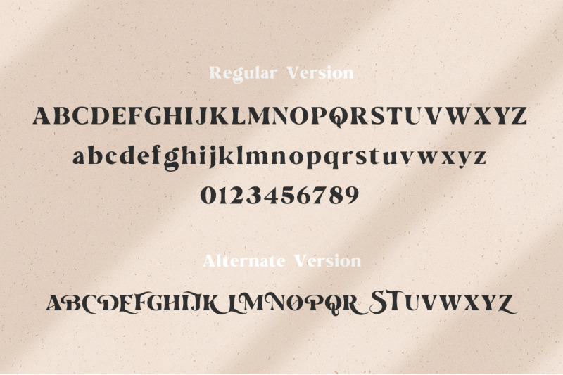 the-love-for-money-font-duo-wedding-fonts-modern-fonts-serif-fonts