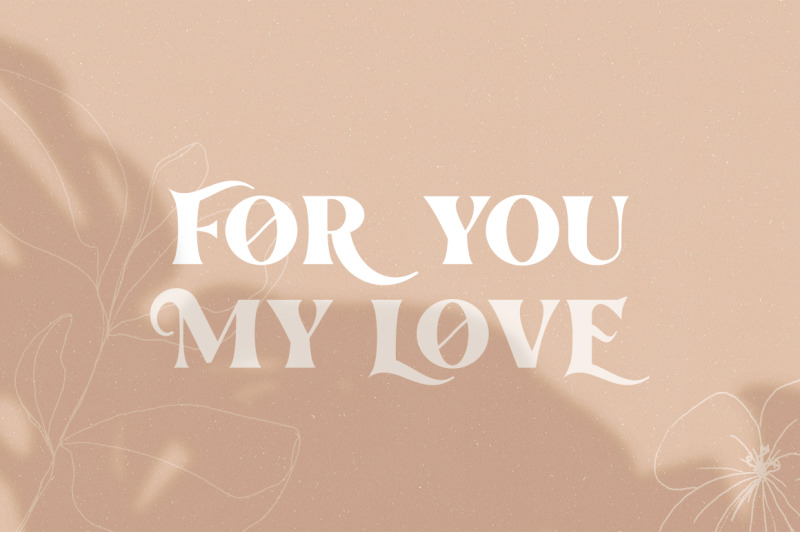 the-love-for-money-font-duo-wedding-fonts-modern-fonts-serif-fonts