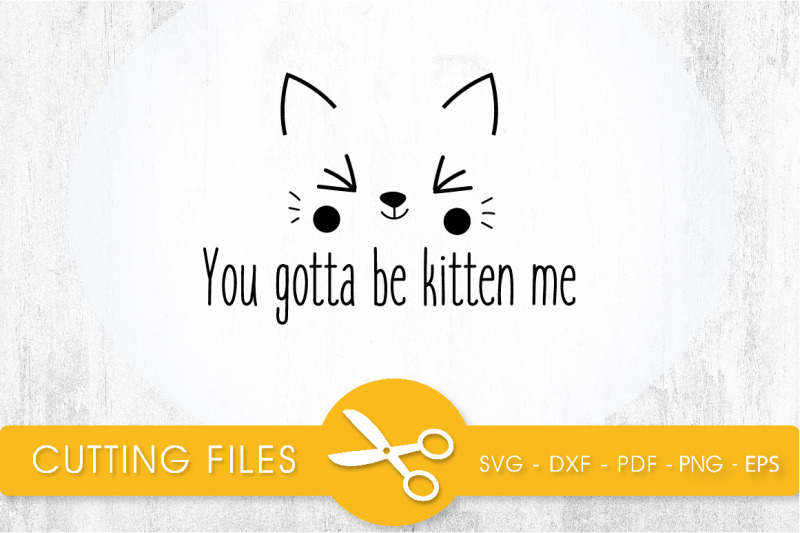you-gotta-be-kitten-me-svg-png-eps-dxf-cut-file