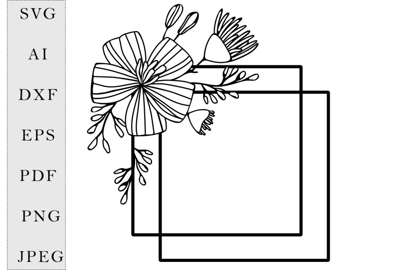 square-frame-daisy-flowers