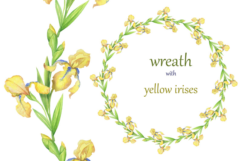 wreaths-with-flowers-yellow-irises-watercolor-set