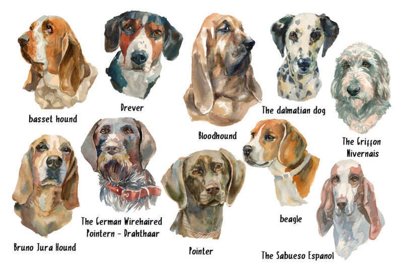sherlock-dogs-watercolor-set