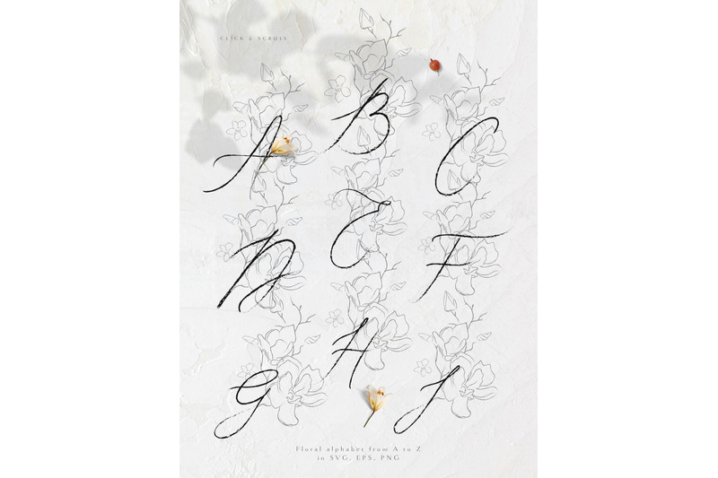 handwritten-floral-letters-monograms-elements