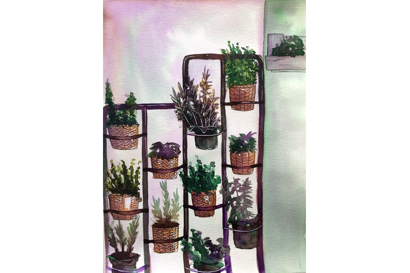 watercolor-home-potted-plants-composition