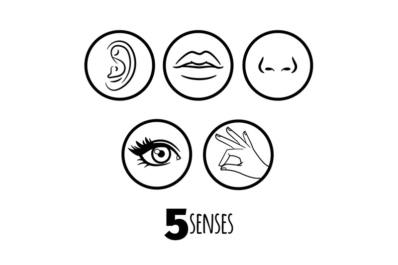 five-senses-outline-icons-vector-of-set