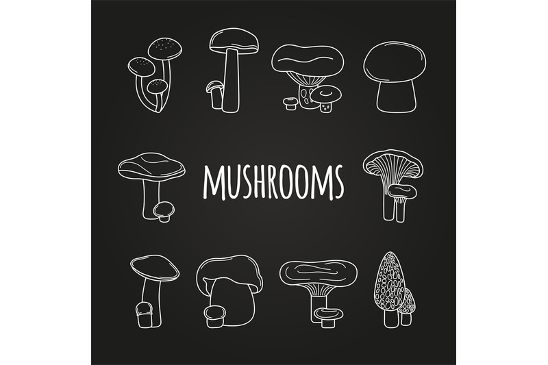 white-line-mushrooms-on-blackboard