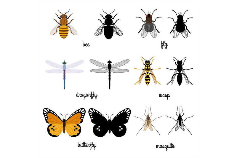 colorful-and-black-silhouettes-flying-insects-isolated-on-white-backgr