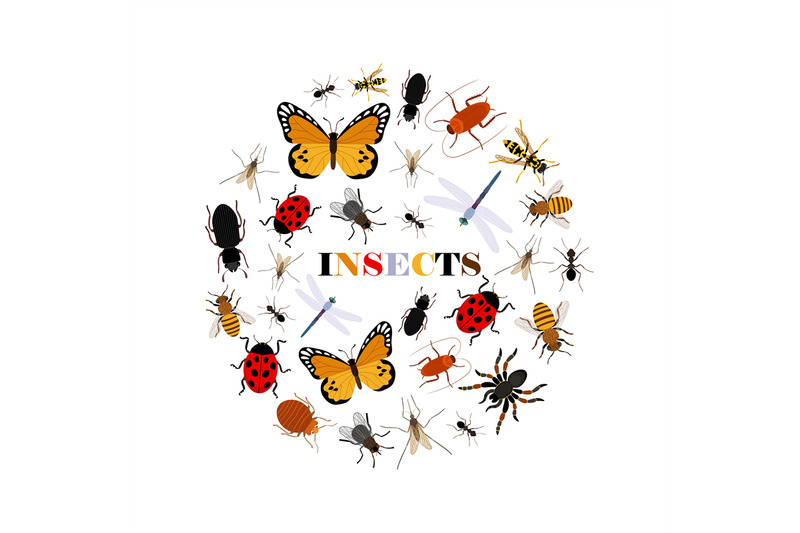 flat-insects-vector-icons-in-round-shape-isolated-on-white-background