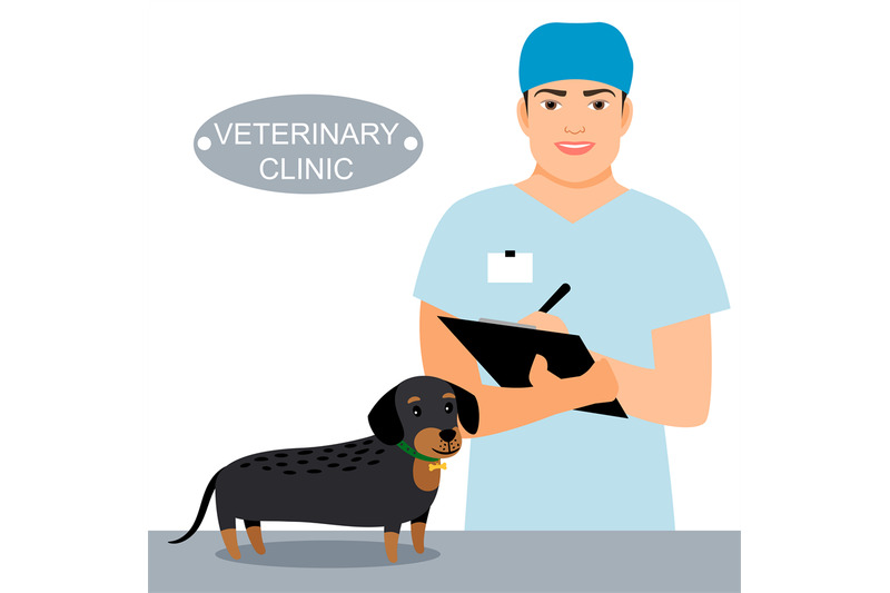 veterinarian-and-dog-on-examination-table-in-vet-clinic-veterinary-cl