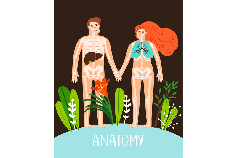 people-anatomy-poster
