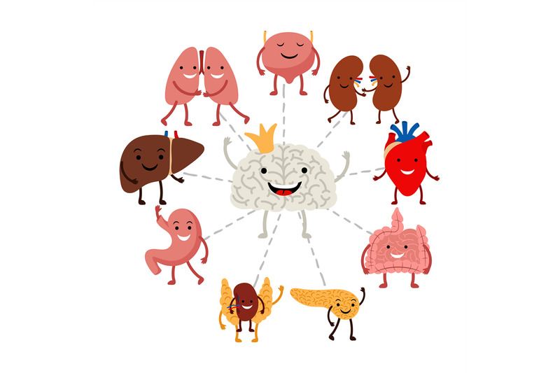 brain-controls-internal-human-organs-vector-concept