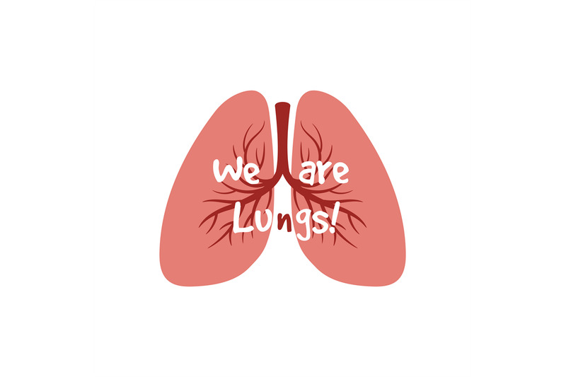 human-internal-organs-lungs-vector-isolated-on-white-background