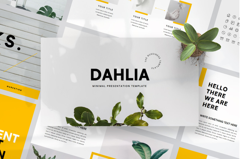 dahlia-powerpoin-template