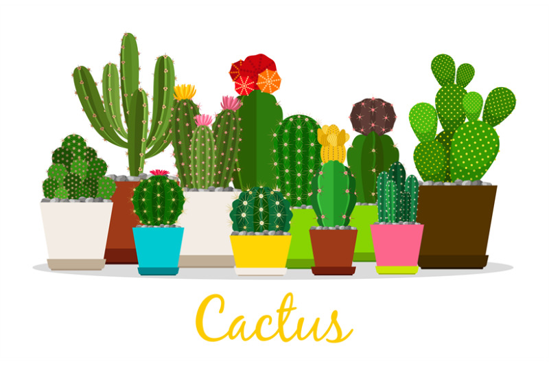 cactus-succulents-in-pots-isolated-vector-illustration