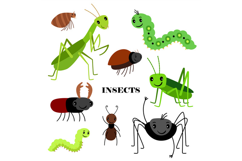 illustration-of-vector-crawling-insects-isolated-on-white-background