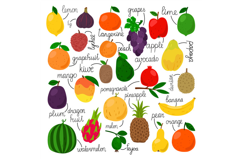 tropical-fruit-set-with-signs