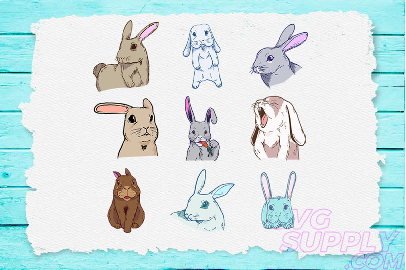 rabbit-design-bundle