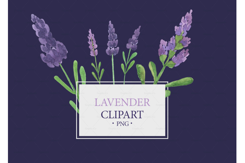 lavender-clipart