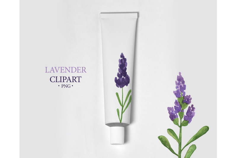 lavender-clipart
