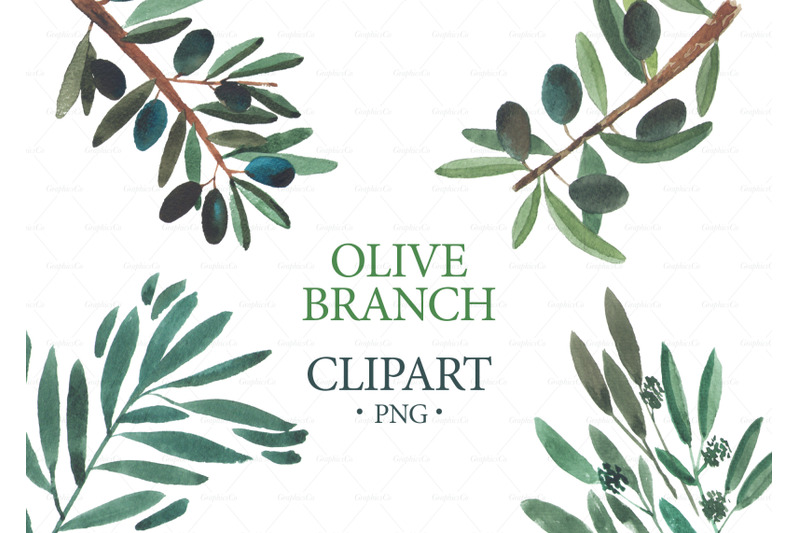 watercolor-olive-branch-clipart-wedding-clipart-logo-branding-eucal