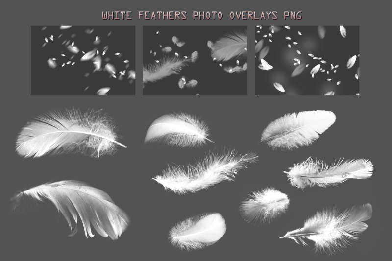 39-feather-overlays-angel-white-feather-photoshop