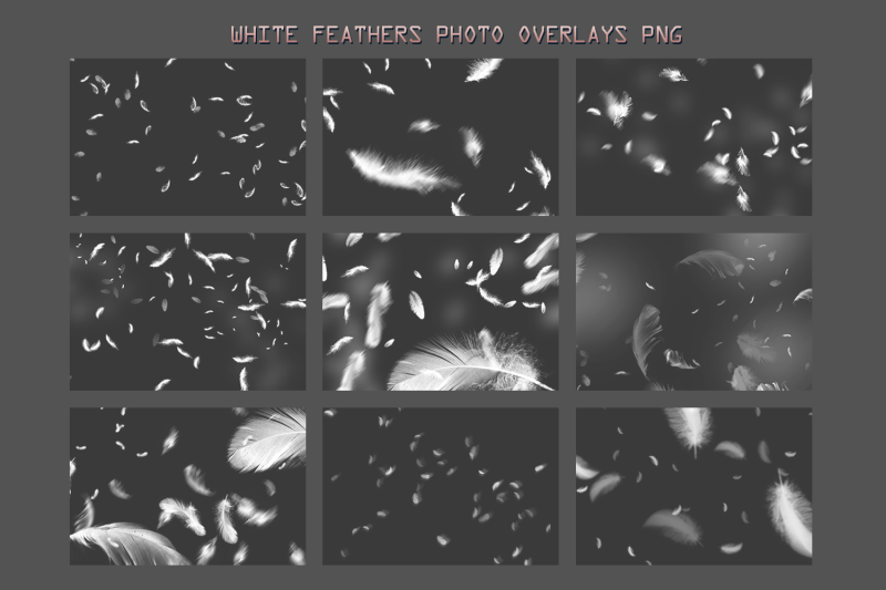 39-feather-overlays-angel-white-feather-photoshop