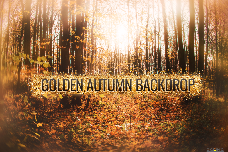 autumn-digital-backdrop-photoshop-fine-art