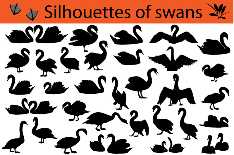 silhouettes-of-swans