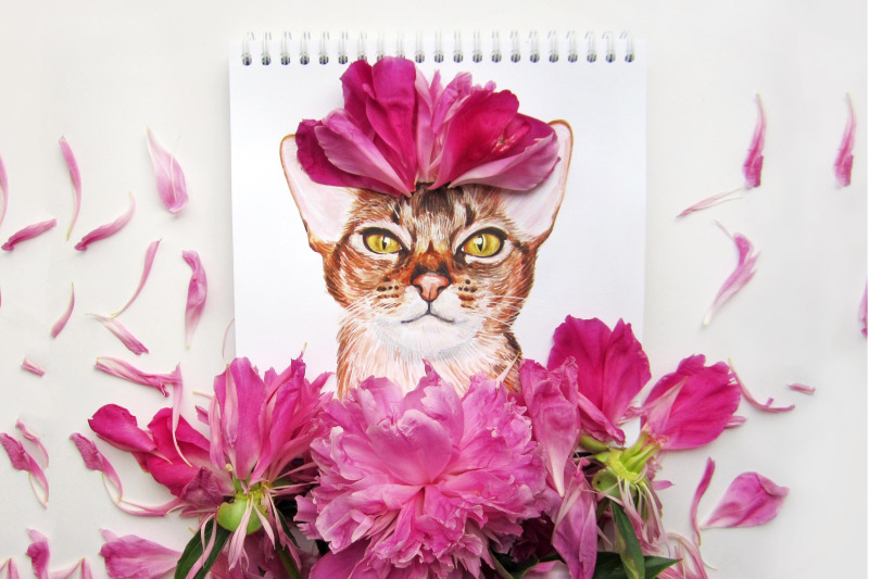 watercolor-cat-illustrations-cute-12-cats-kitty-meow