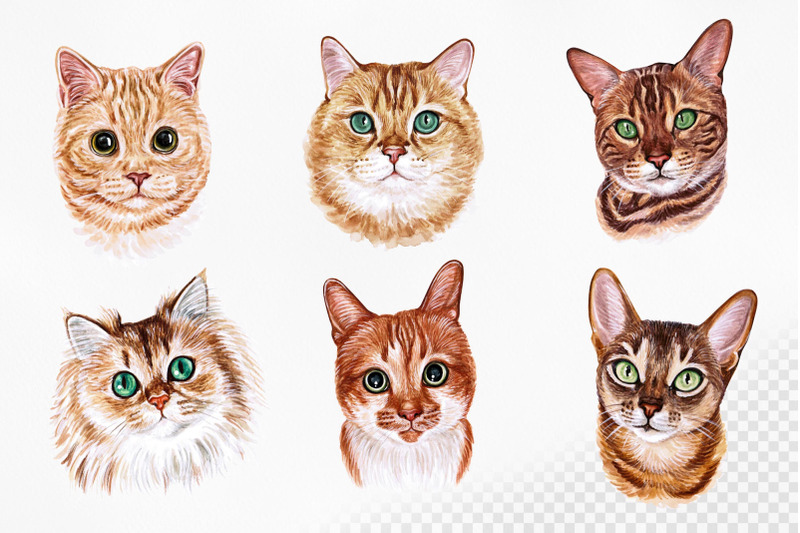 Download Watercolor cat illustrations. Cute 12 cats. Kitty. Meow ...