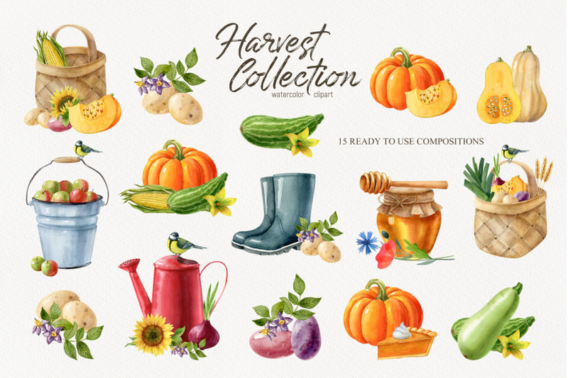 watercolor-harvest-collection