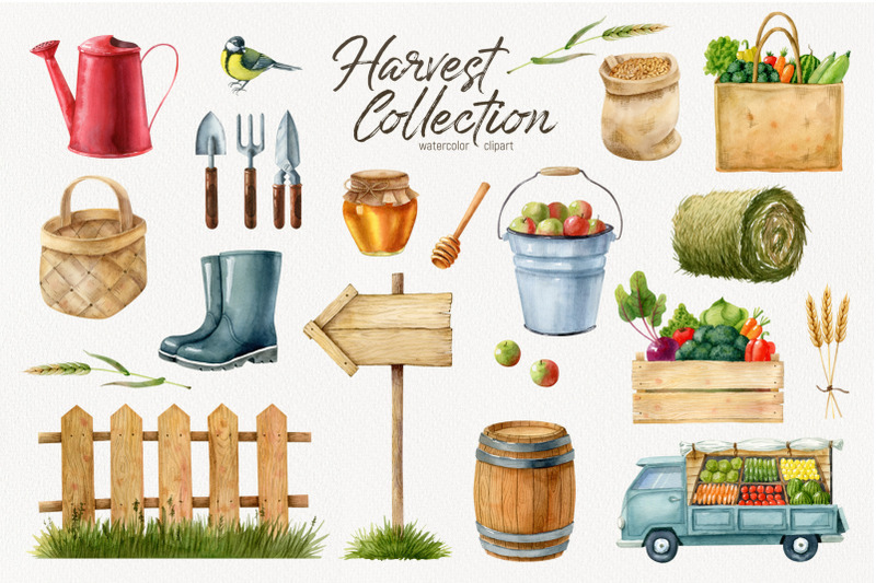 watercolor-harvest-collection