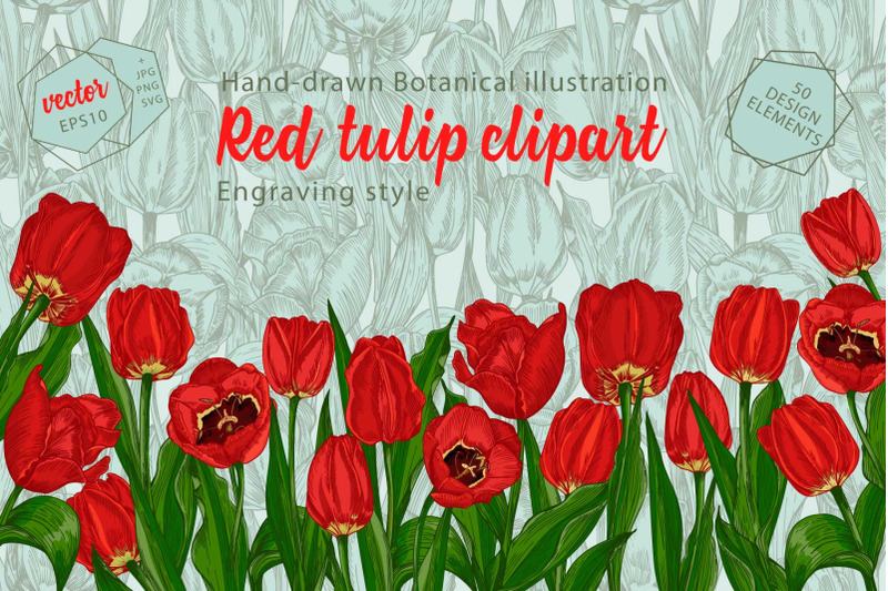 red-tulips-vector-clipart