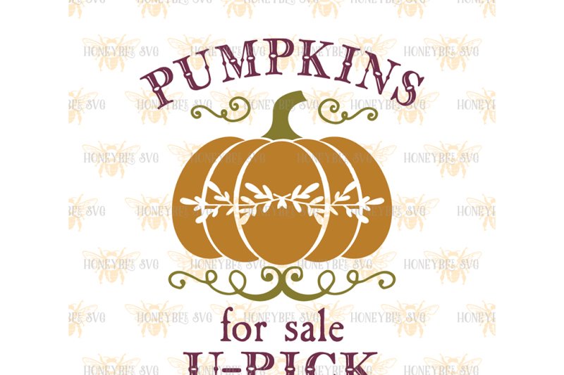 pumpkins-for-sale-u-pick