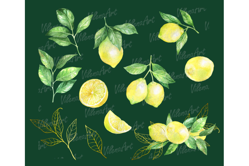 watercolor-lemon-clipart-lemon-citrus-wreath-frame