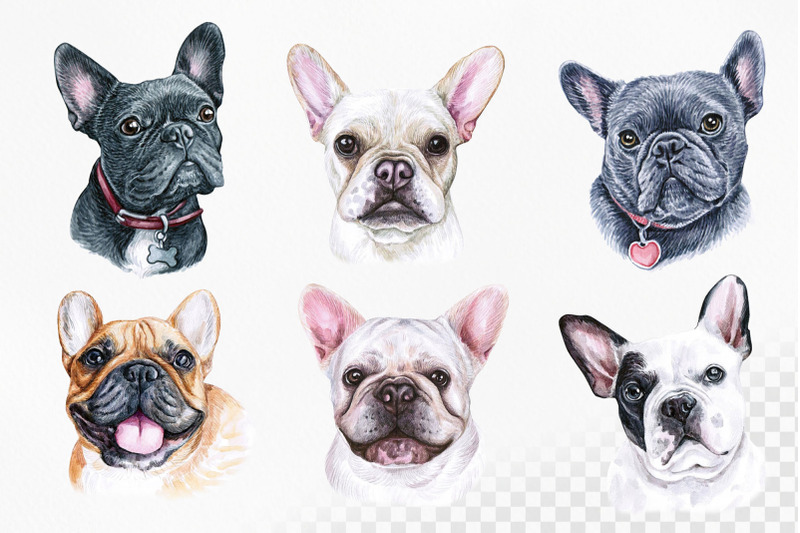 french-bulldogs-watercolor-12-dogs-illustrations-set