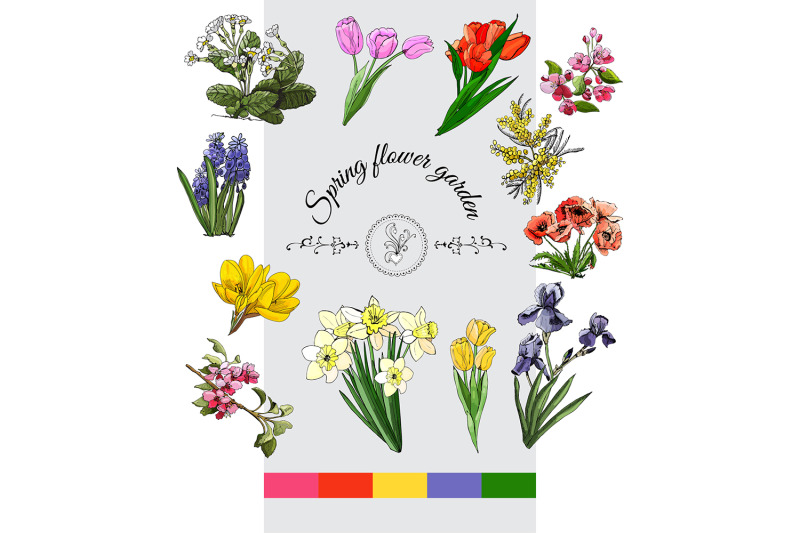 hand-drawn-spring-flowers-color-vector-clipart