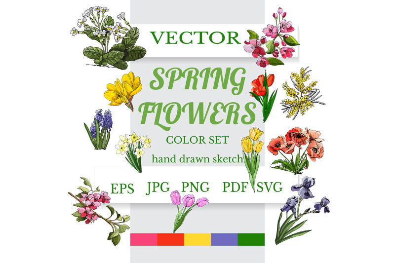 hand-drawn-spring-flowers-color-vector-clipart