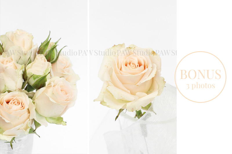 thank-you-card-on-white-background-with-bouquet-beige-roses